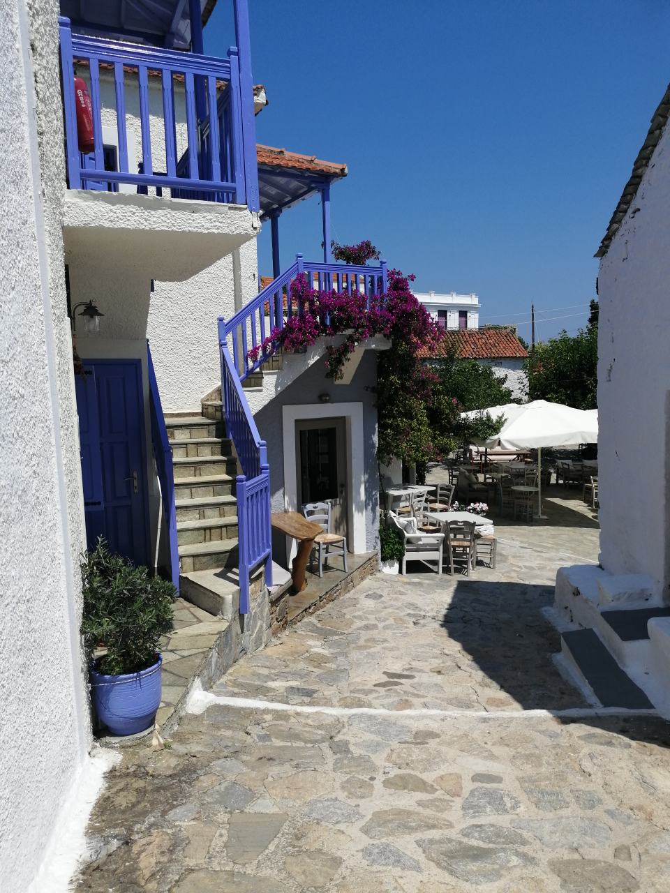 Skopelos And Alonnisos Port Trogadas Travel Summer Cruise From Pefki 37